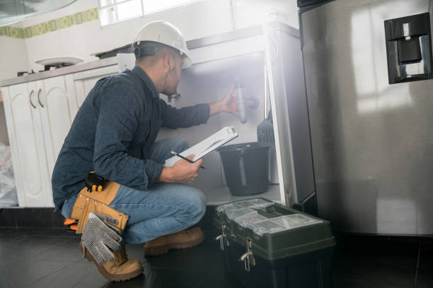 Best Plumbing Installation Services  in North Branch, MI