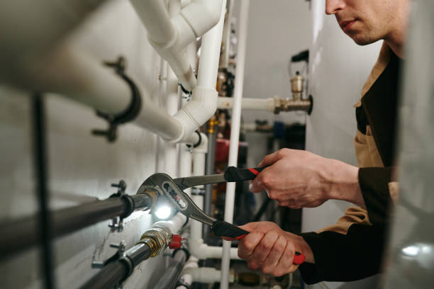 Best Plumbing Repair Near Me  in North Branch, MI