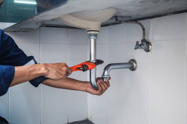  North Branch, MI Plumbing Pros