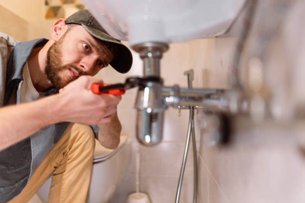 Best Emergency Plumbing Repair  in North Branch, MI